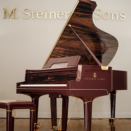 Information on the New Steinway & Sons B Spirio | r 621230
