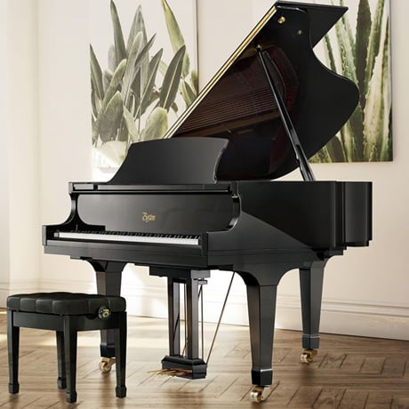 Information on the New Boston GP163 PE II 215496