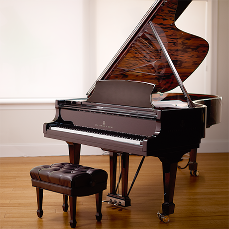 Information on the New Steinway & Sons B Spirio | r 621415