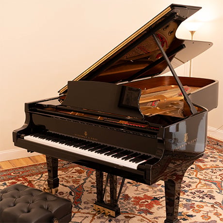 Information on the Used Steinway & Sons D 614678