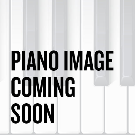 Information on the Used Steinway & Sons D 614678